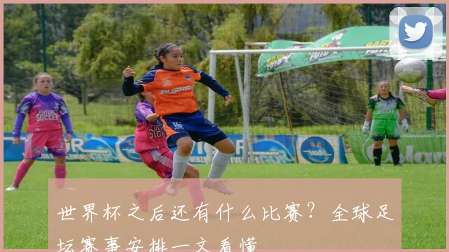 世界杯之后还有什么比赛？全球足坛赛事安排一文看懂