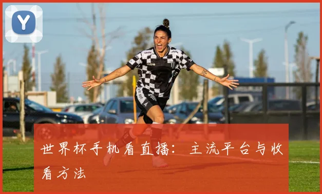世界杯手机看直播：主流平台与收看方法