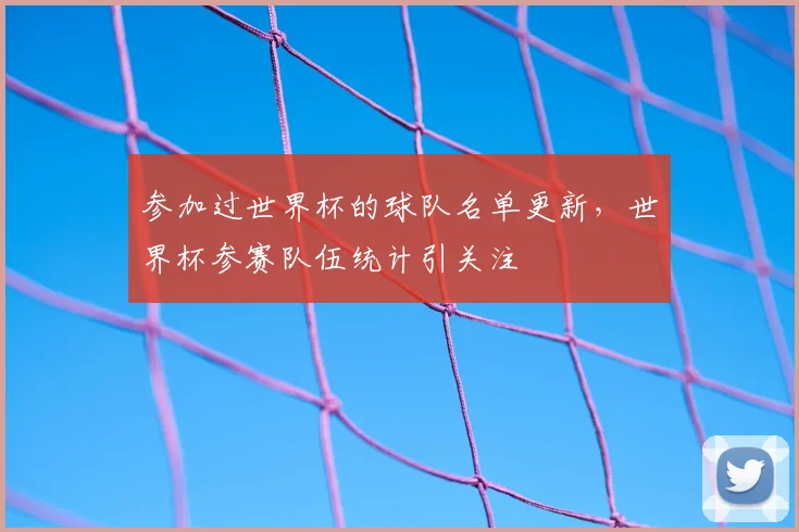参加过世界杯的球队名单更新,世界杯参赛队伍统计引关注