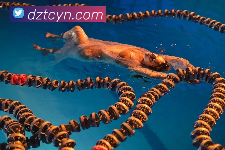 数据防护可视化